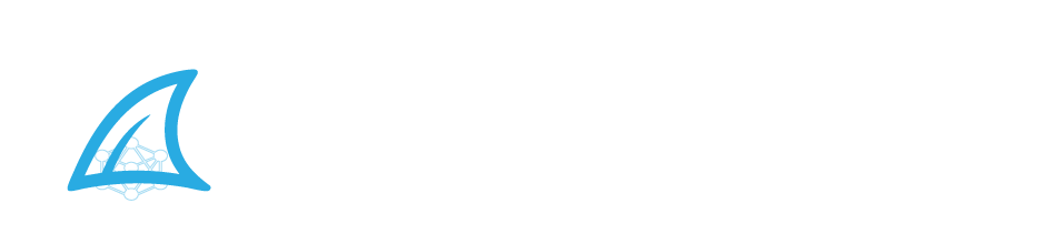 CodeMega Solutions Logo